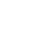 AI Voice Agents