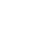 AI Voice Agents